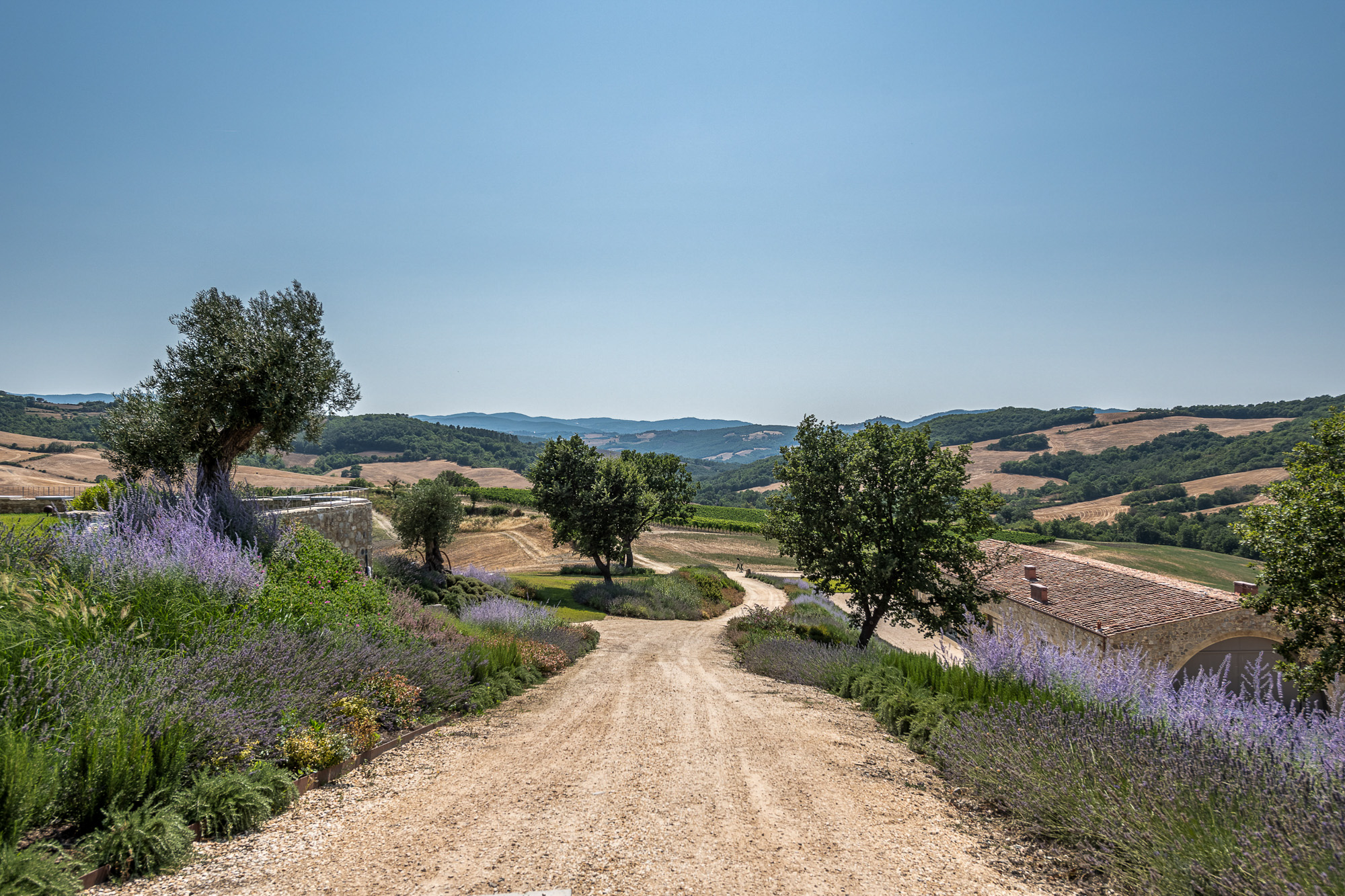 Noam Radicodoli Luxury Villas Tuscany Noam Group Noam Radicondoli Luxury Estate with Vineyard in Tuscany, Italy Exclusive Private Estate with Vineyard in Radicondoli, Tuscany Opulent Tuscany Estate with Vineyard and Stunning Views Secluded Luxury Villa with Vineyard in Radicondoli, Tuscany Private Vineyard Estate in Radicondoli for High Net-Worth Individuals Noam Radicondoli: Luxury Estate Rental with Vineyard in Tuscany Exclusive Tuscany Villa with Vineyards in Radicondoli Luxury Estate with Vineyards for Private Events in Tuscany Noam Radicondoli: Prestigious Private Estate with Vineyard in Tuscany Luxury Tuscan Villa with Private Vineyard in Radicondoli Bespoke Private Estate with Vineyard in Radicondoli for VIP Getaways Noam Radicondoli: Intimate Luxury Estate with Vineyard in Tuscany Private Vineyard Estate for Rent in Radicondoli, Tuscany Luxury Vineyard Estate in Tuscany for Secluded Retreats Noam Radicondoli: Exclusive Tuscany Estate with Vineyard and Scenic Views Tuscany Luxury Estate with Vineyard for High-End Travelers Opulent Private Estate with Vineyard in Radicondoli for Special Occasions Noam Radicondoli: Luxury Villa with Vineyard and Tuscan Countryside Views Exclusive Tuscany Estate with Private Vineyard and Luxurious Amenities